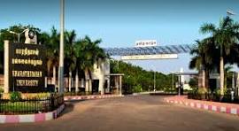 Bharathidasan University